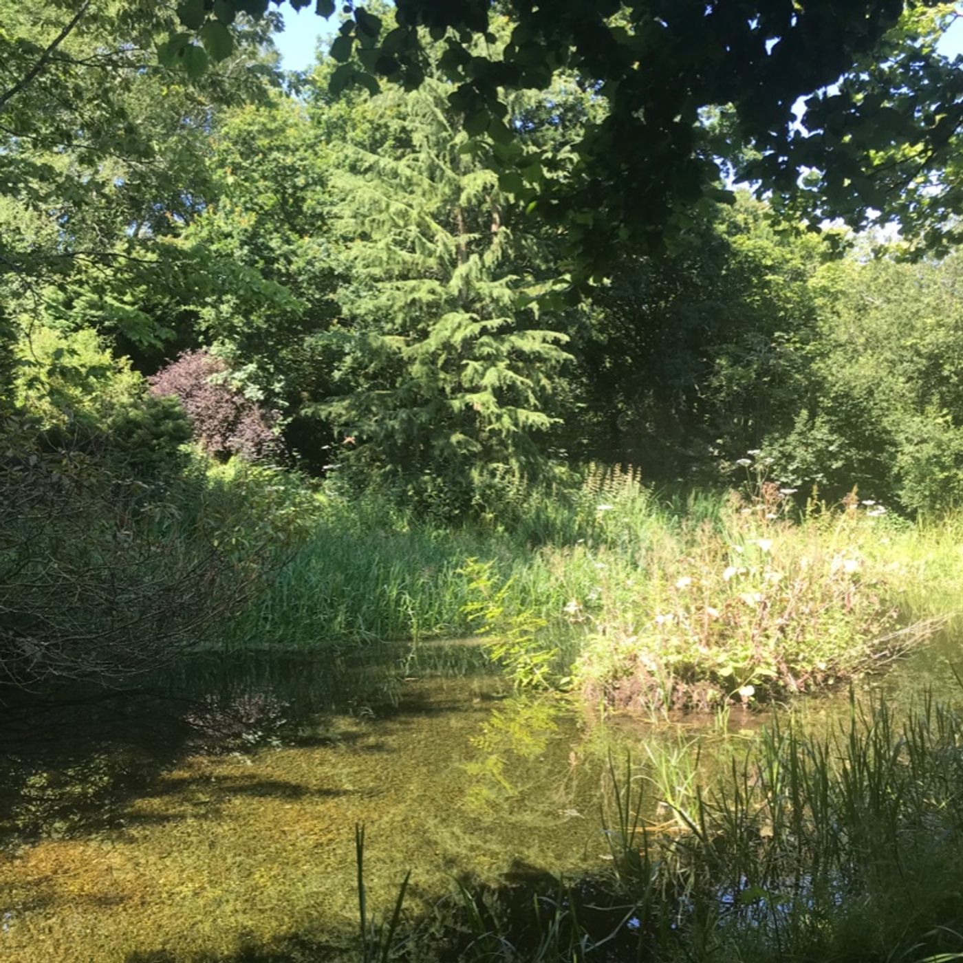 Create2learn - The Play Podcast