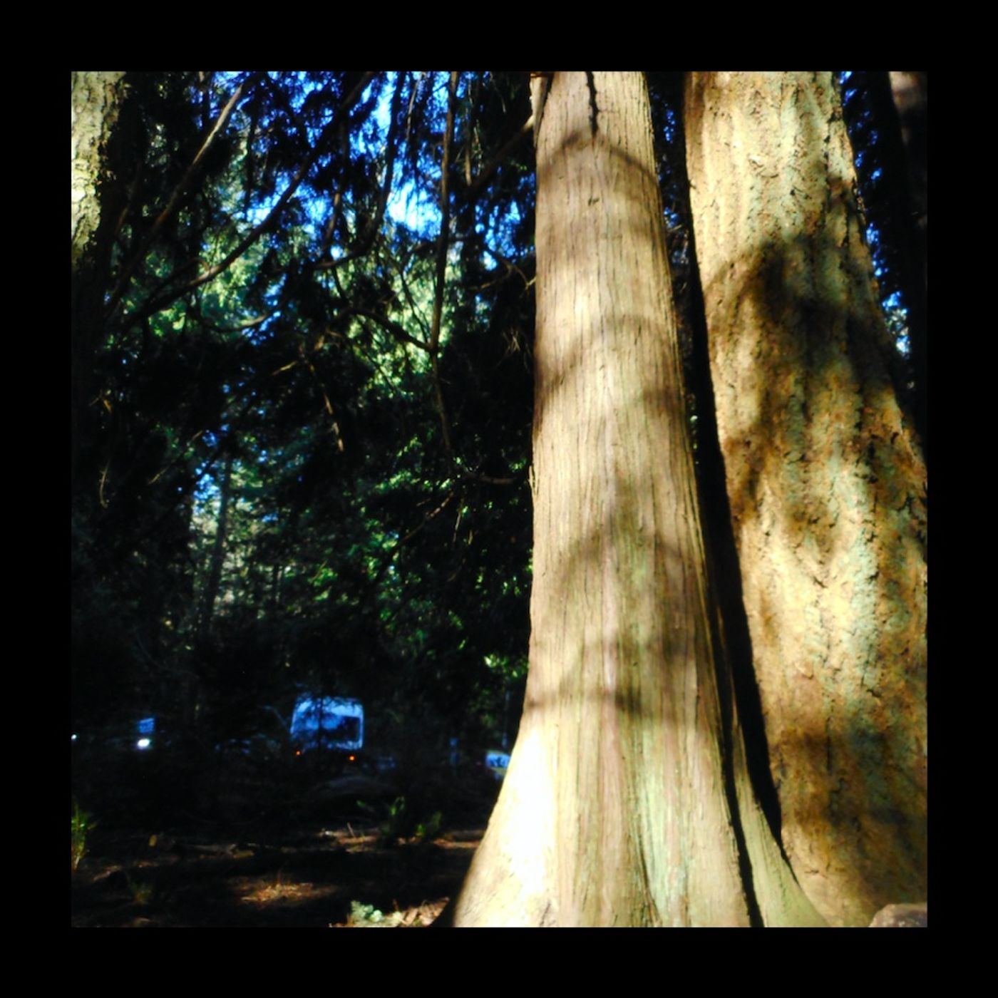 Patrick's Trail Loop