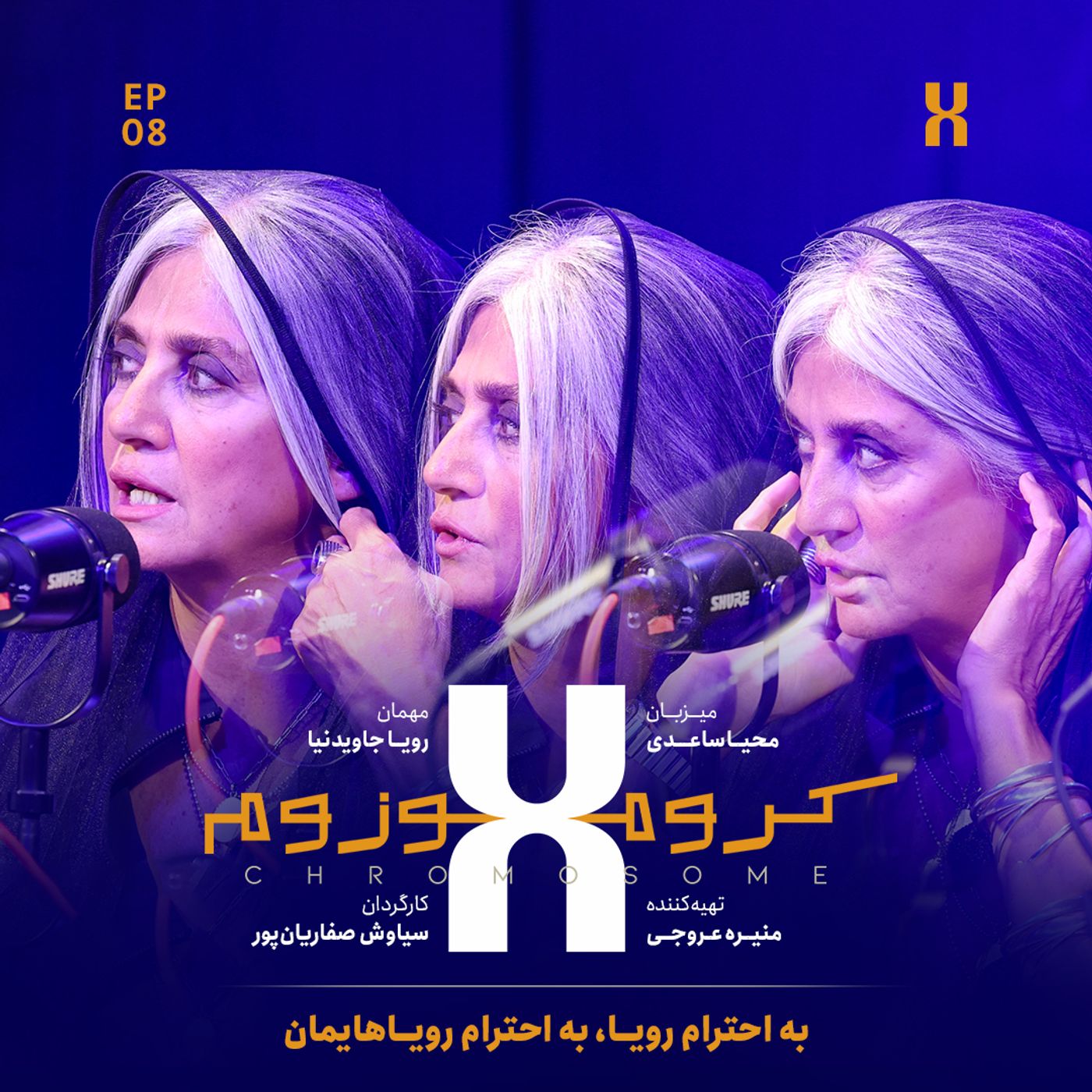 کروموزوم ایکس ۷ | رویا جاویدنیا
