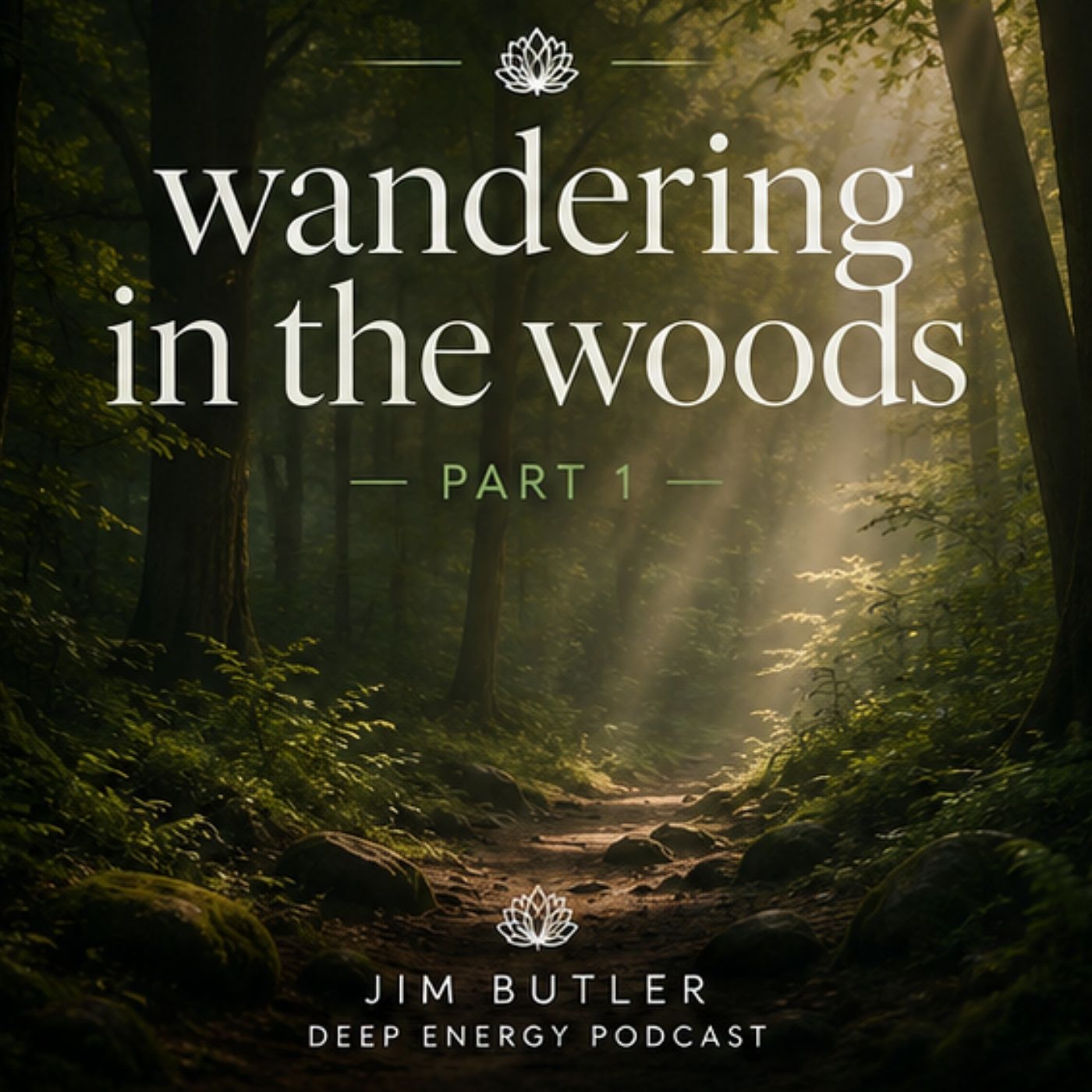 Deep Energy 2451 - Wandering in the Woods - Part 1 episode artwork