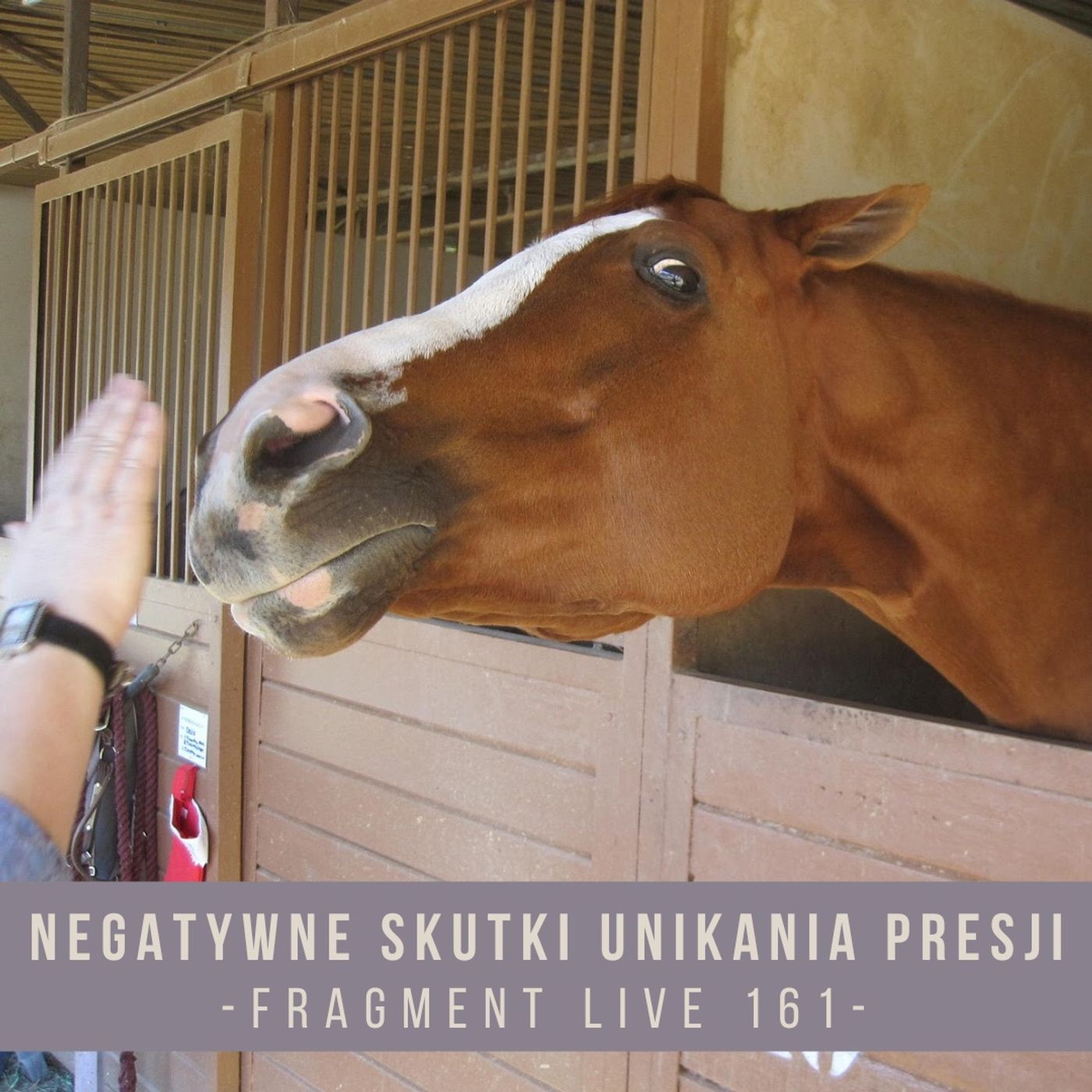 Negatywne skutki unikania presji - fragment live 161 episode artwork