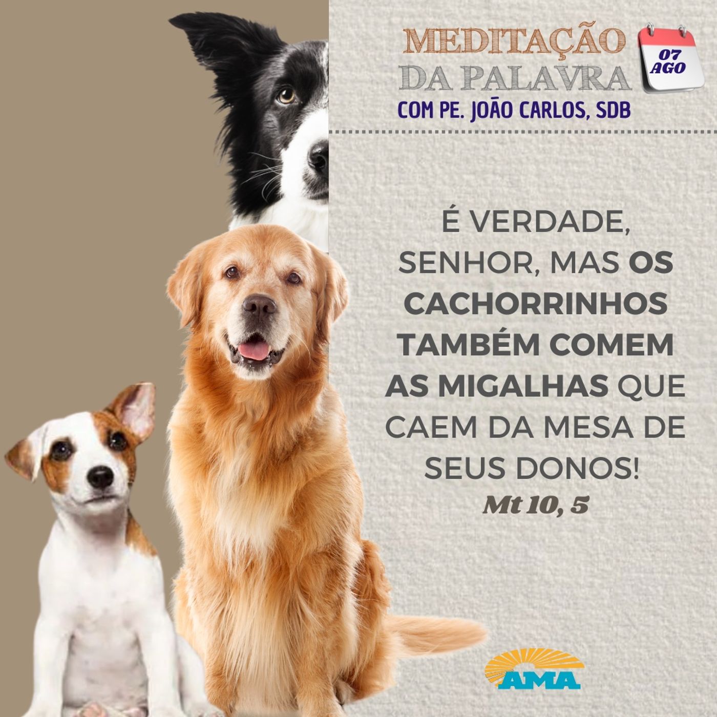 07 de agosto de 2024 - Meditação da Palavra do Senhor