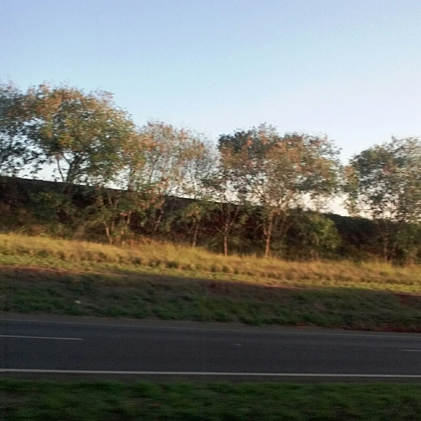 Irmão Marcio