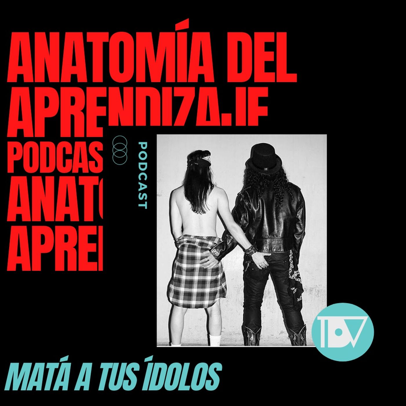 Anatomía del Aprendizaje
