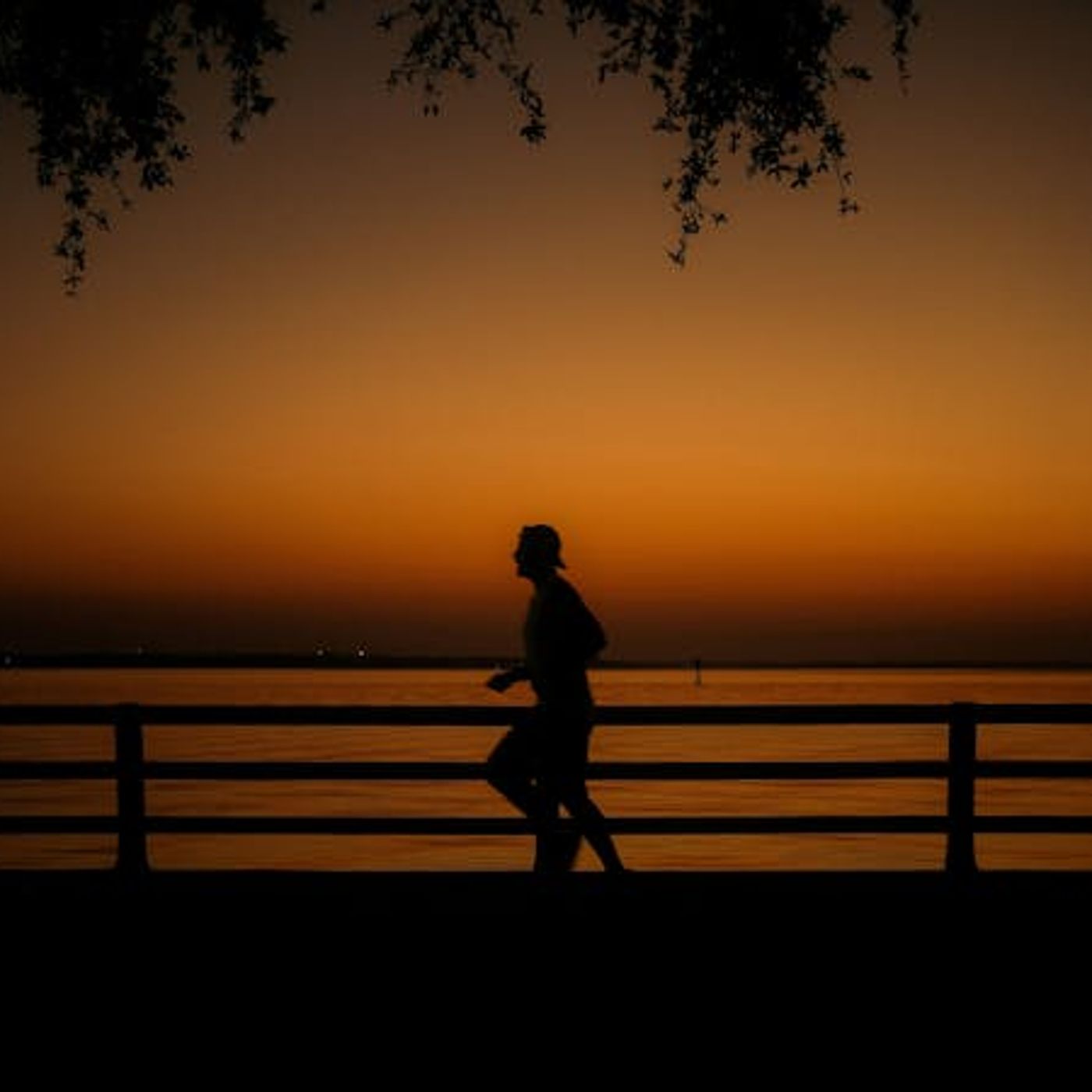 Improving the Body Without Fixating on Image Improving the Body Without Fixating on Image