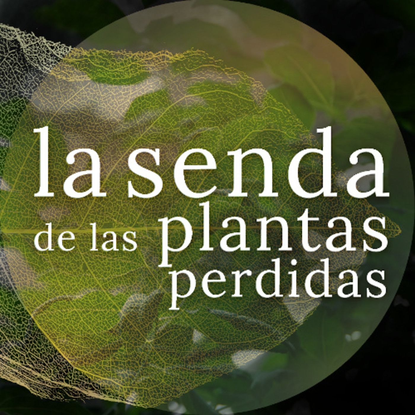 La Senda de las Plantas Perdidas