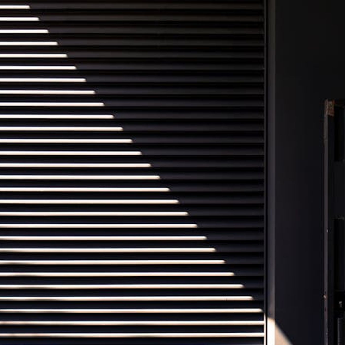 The Strong Murder the Weak Every Day in America