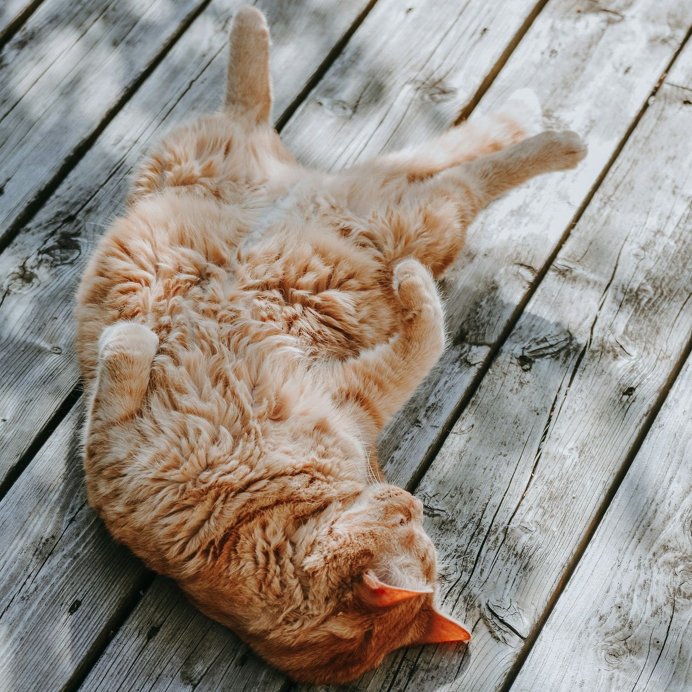 Les voyages intérieurs de Thomas - Méditations guidées