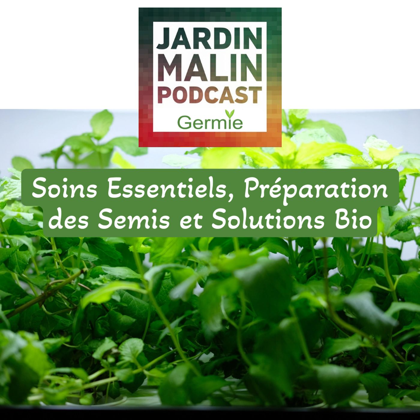 JARDIN MALIN by Germie