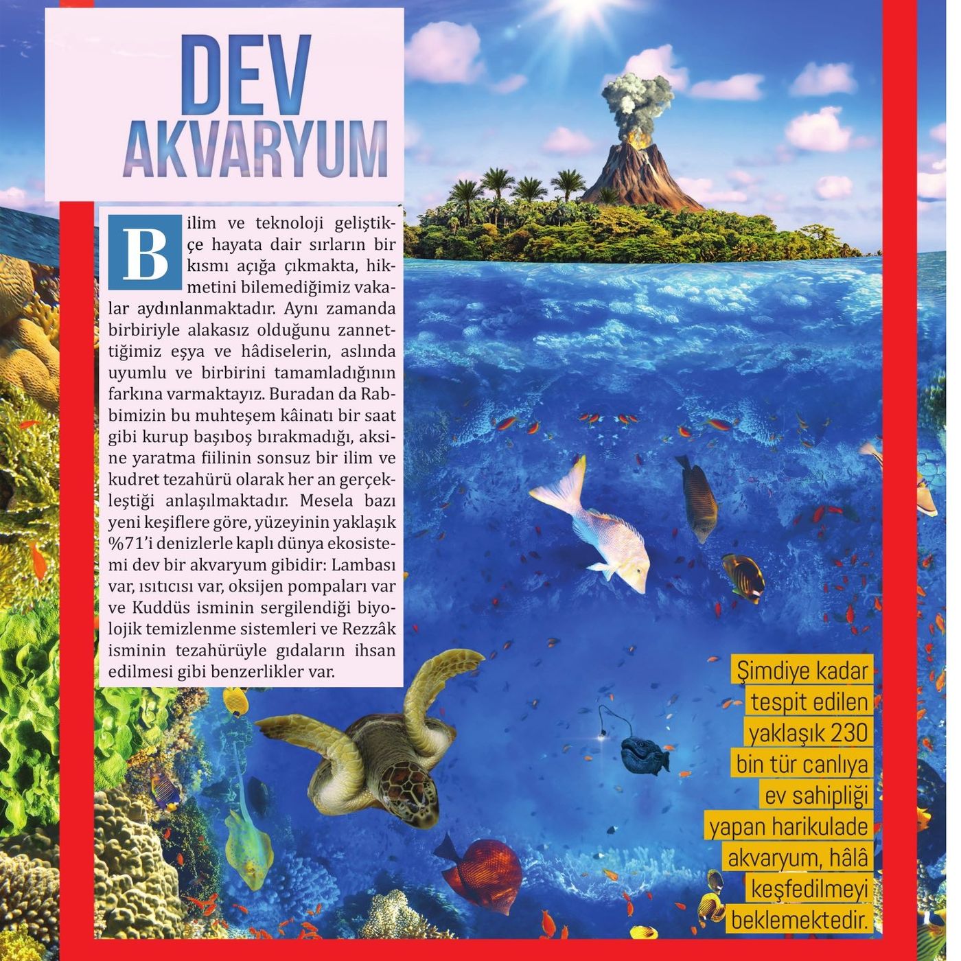 Dev Akvaryum episode artwork
