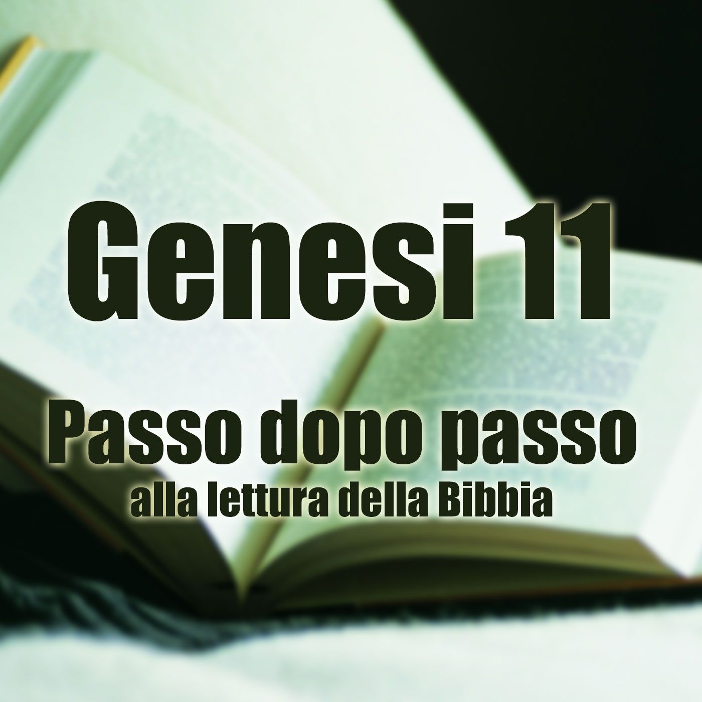 Passo dopo passo alla lettura della Bibbia