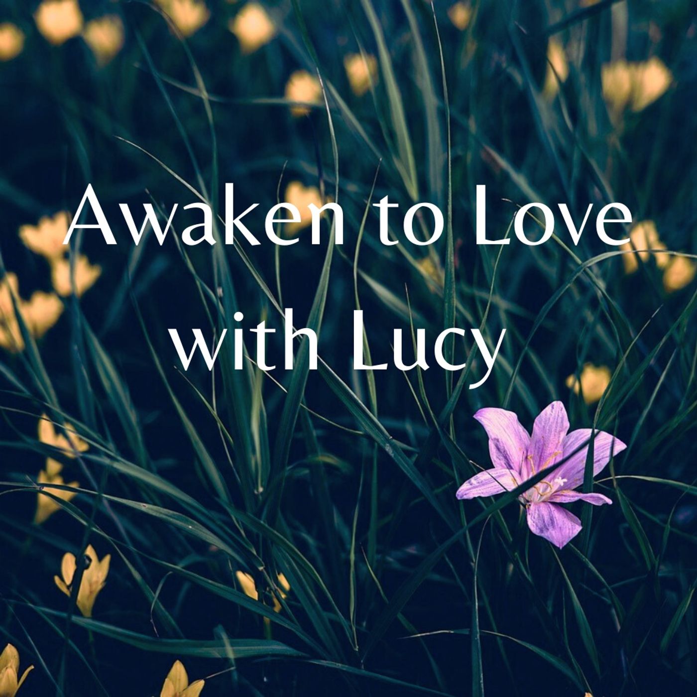 Awaken to Love with Lucy
