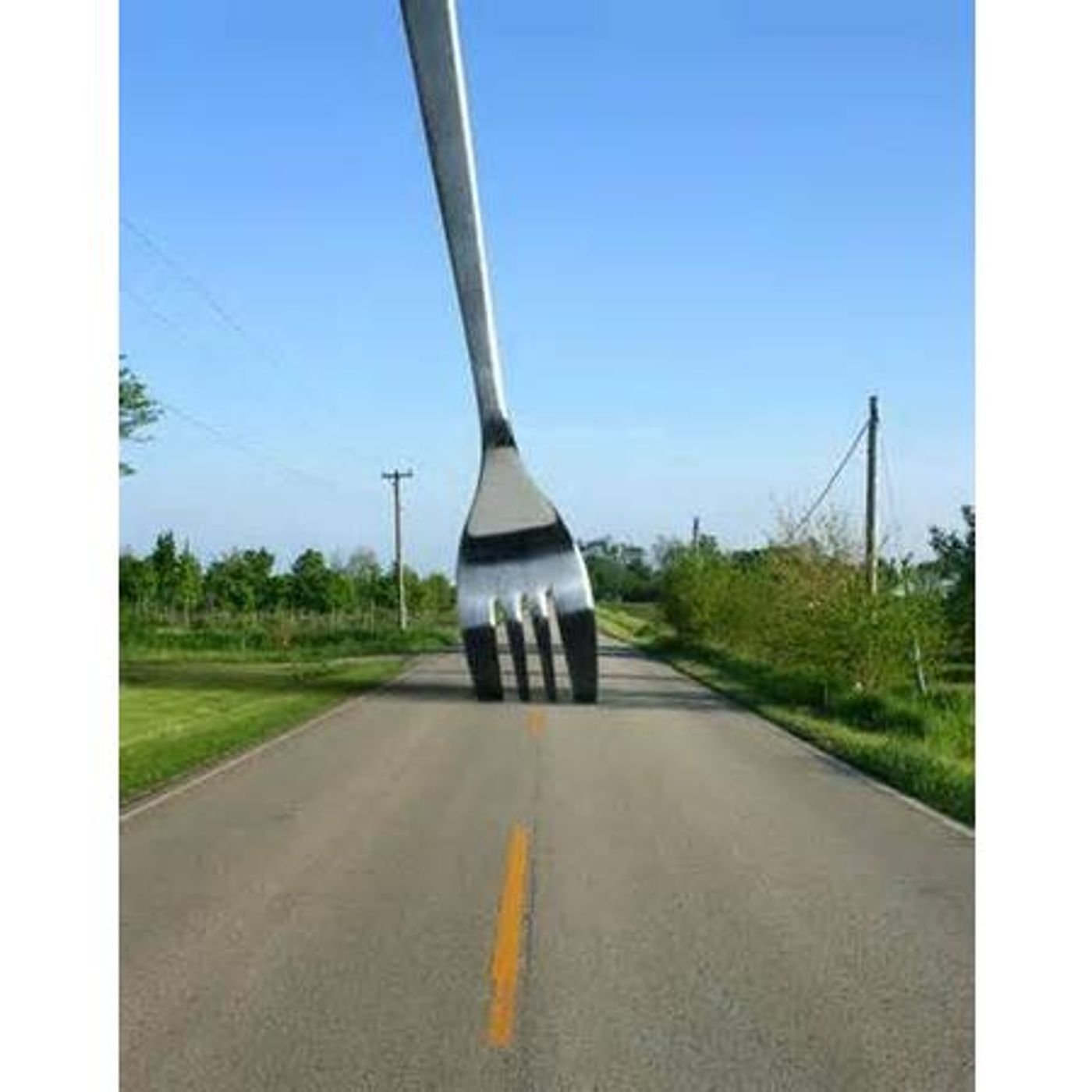 Another Fork in the Road