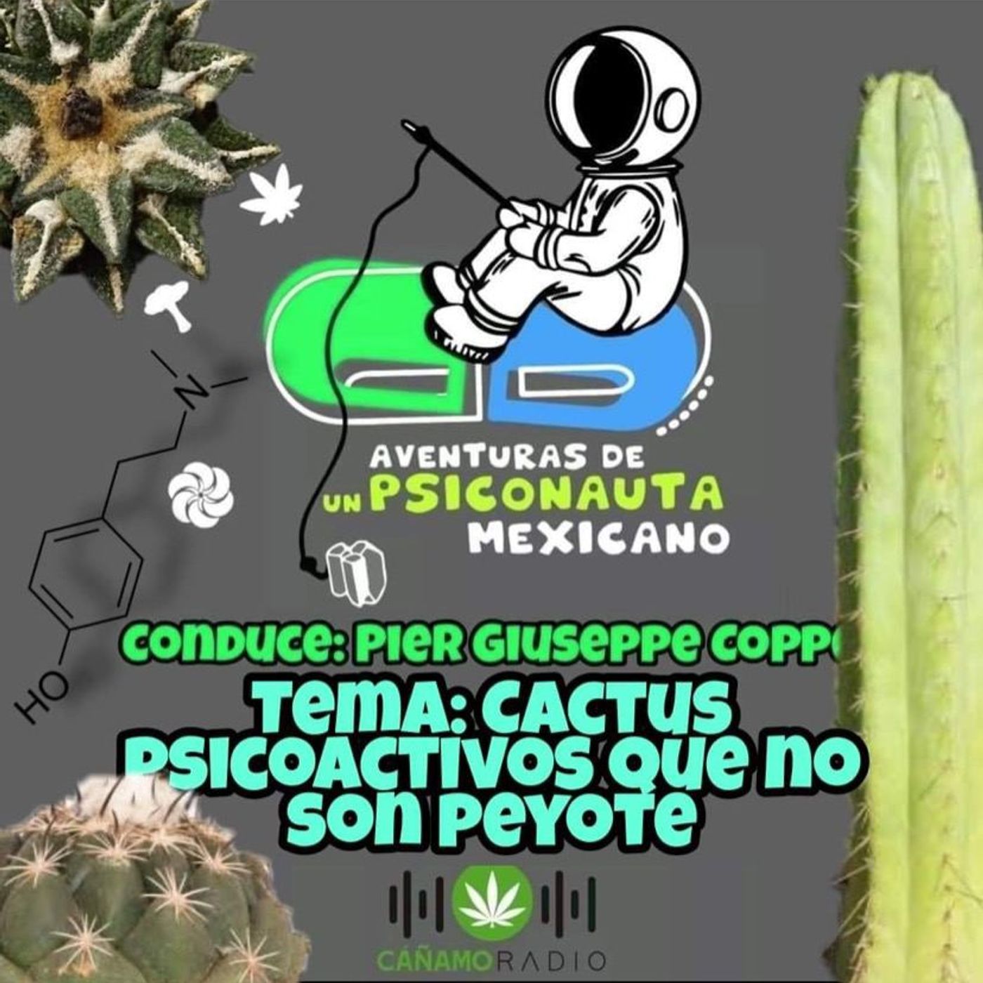 Antes CANIAMO Radio AHORA Mariguana RADIO