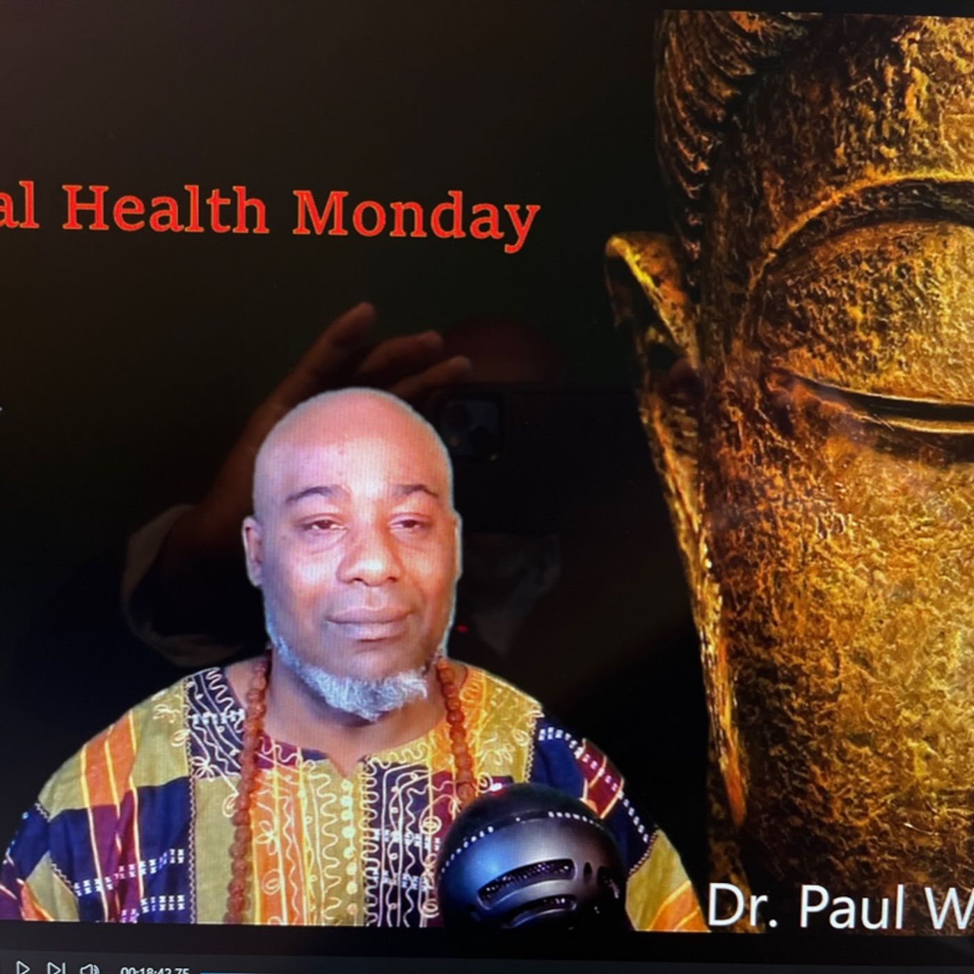 Episode 132 - Bridges With Dr Paul w Dyer episode artwork