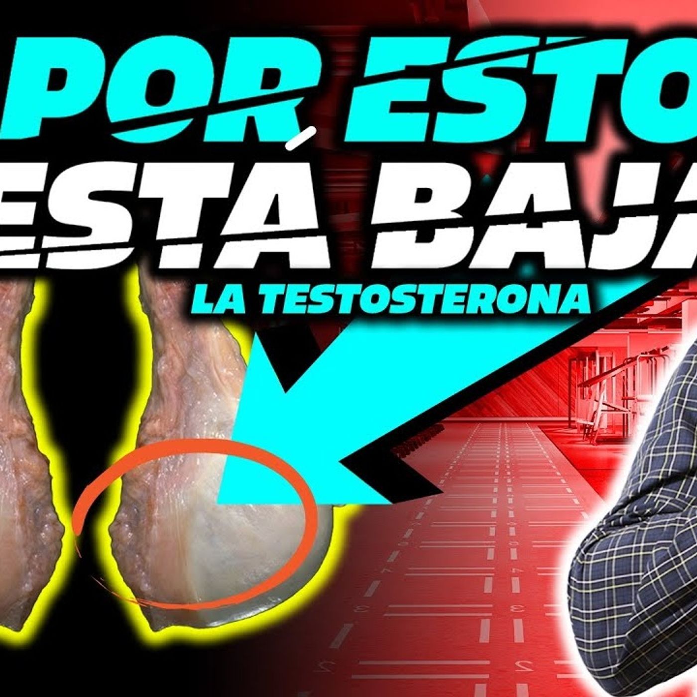 Esto es LO MEJOR que puedes hacer  si tienes DISFUNCIÓN ERÉCTIL (7 Causas Reversibles)