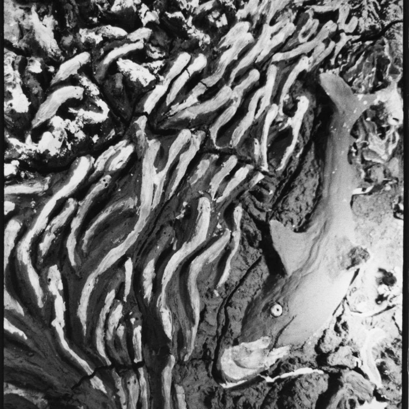 Havets spejlinger af Mathilde Schytz Marvit