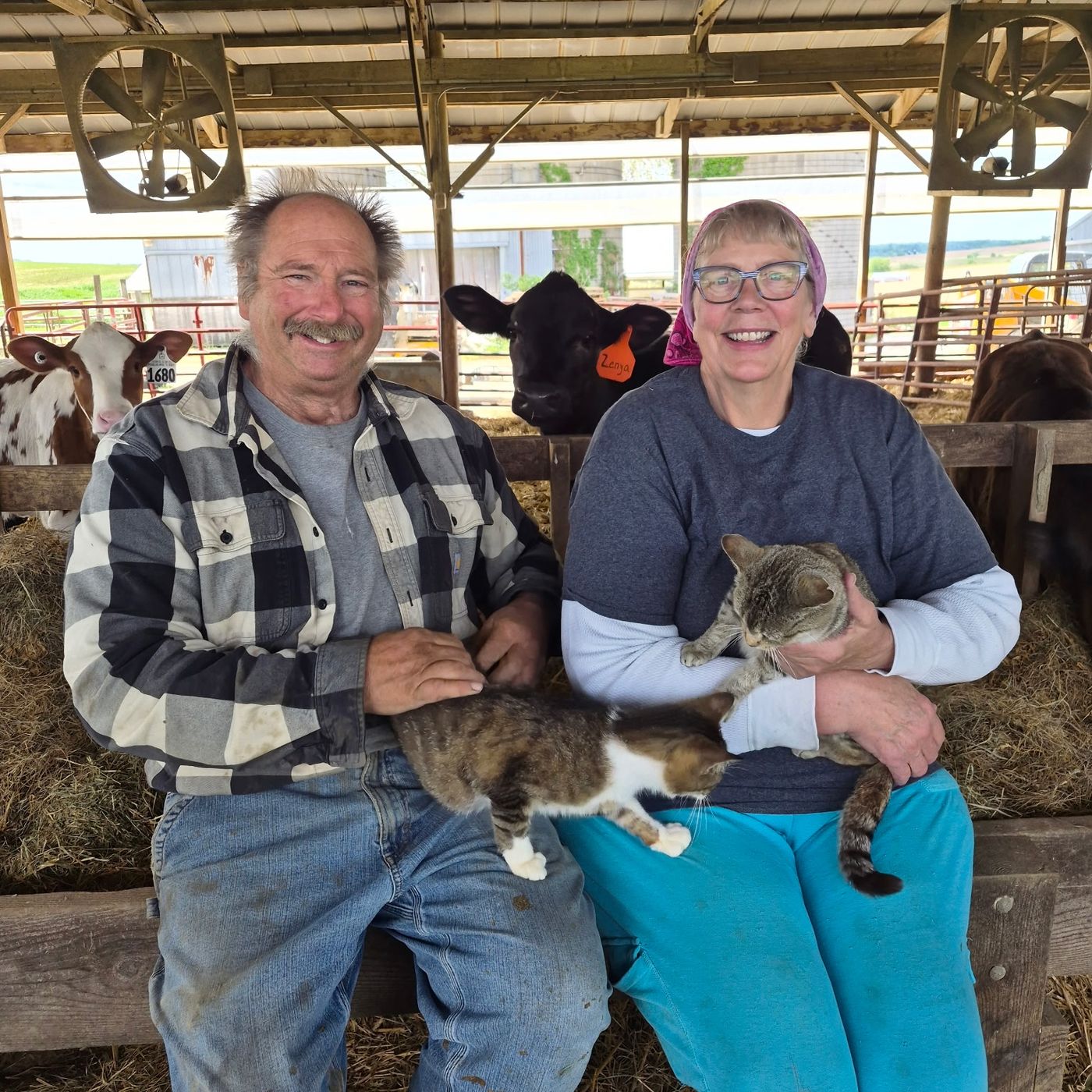 RFD Livestock Report 7-3-26 Barn Cats on the Farm-Part 2 Ron & Julie Lawfer Jo Daviess County episode artwork