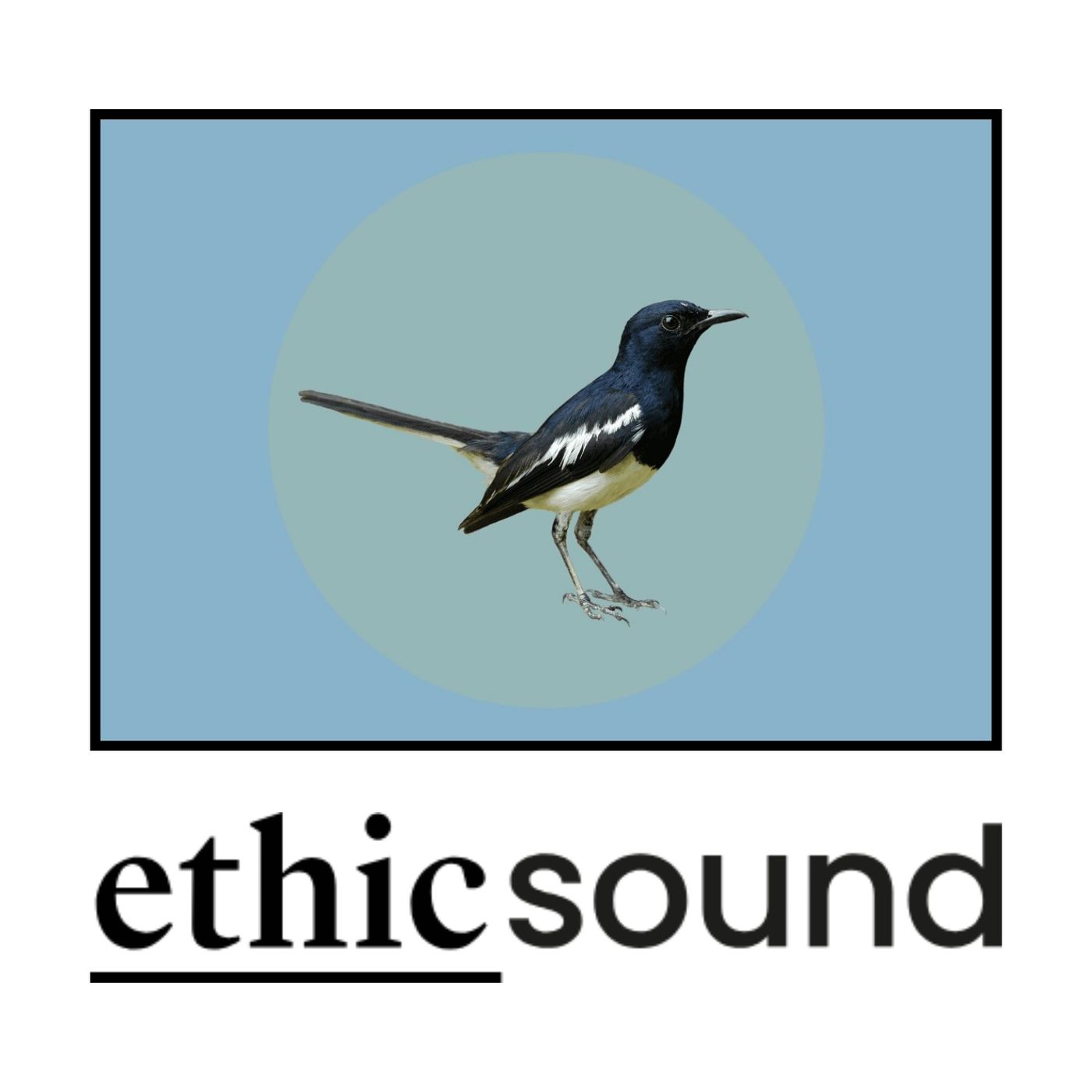 La vida privada de los pájaros