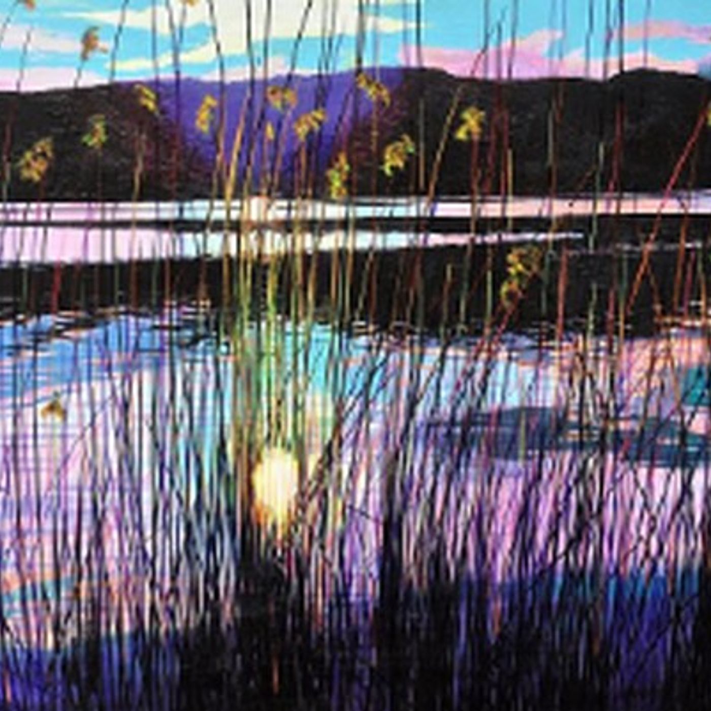 Tracce di Domenico Tota