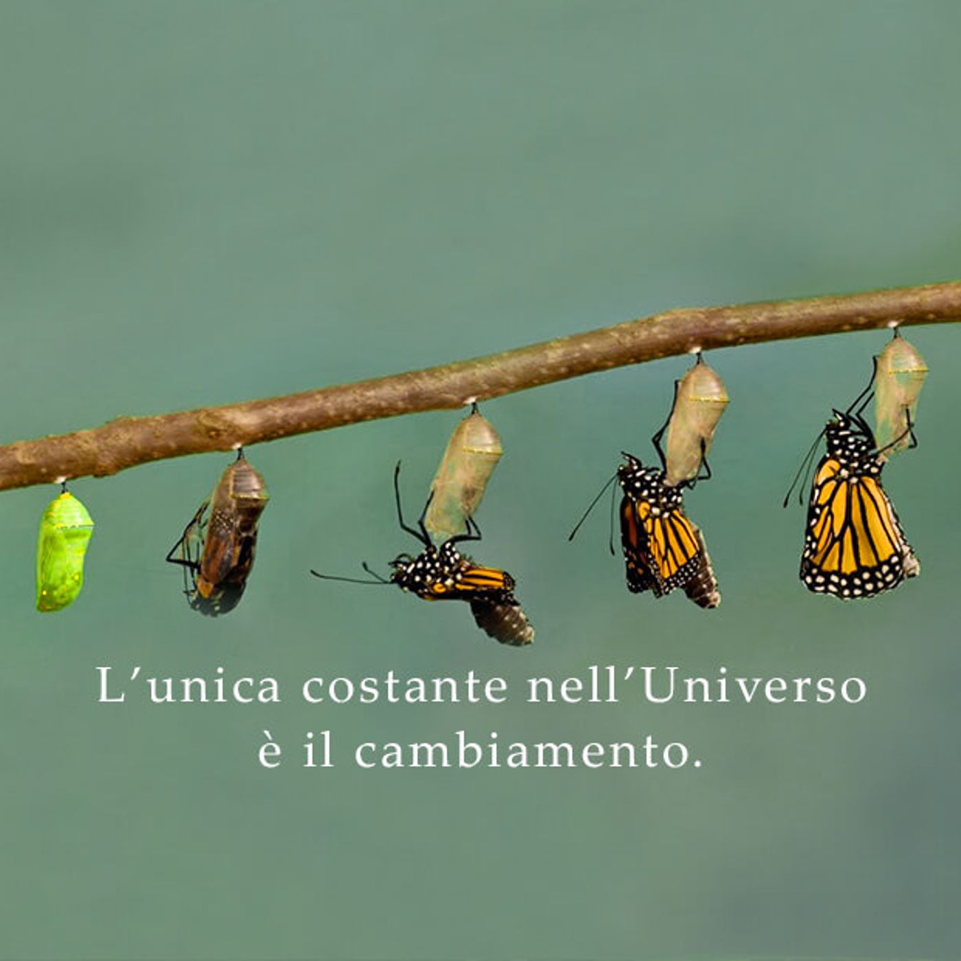 Siamo fatti di relazioni