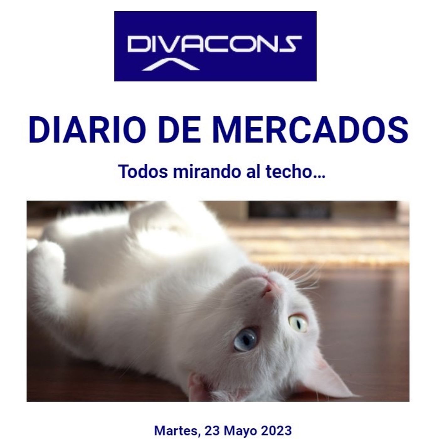 PODCAST DIARIO DE MERCADOS Martes 23 Mayo episode artwork