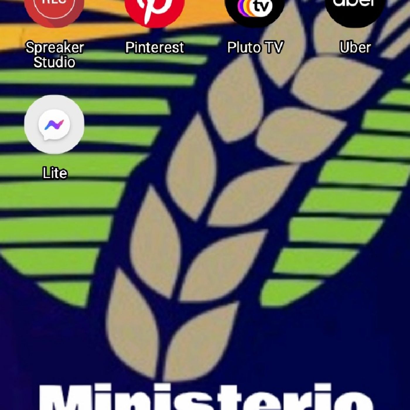 El podcast de Martin Navarrete