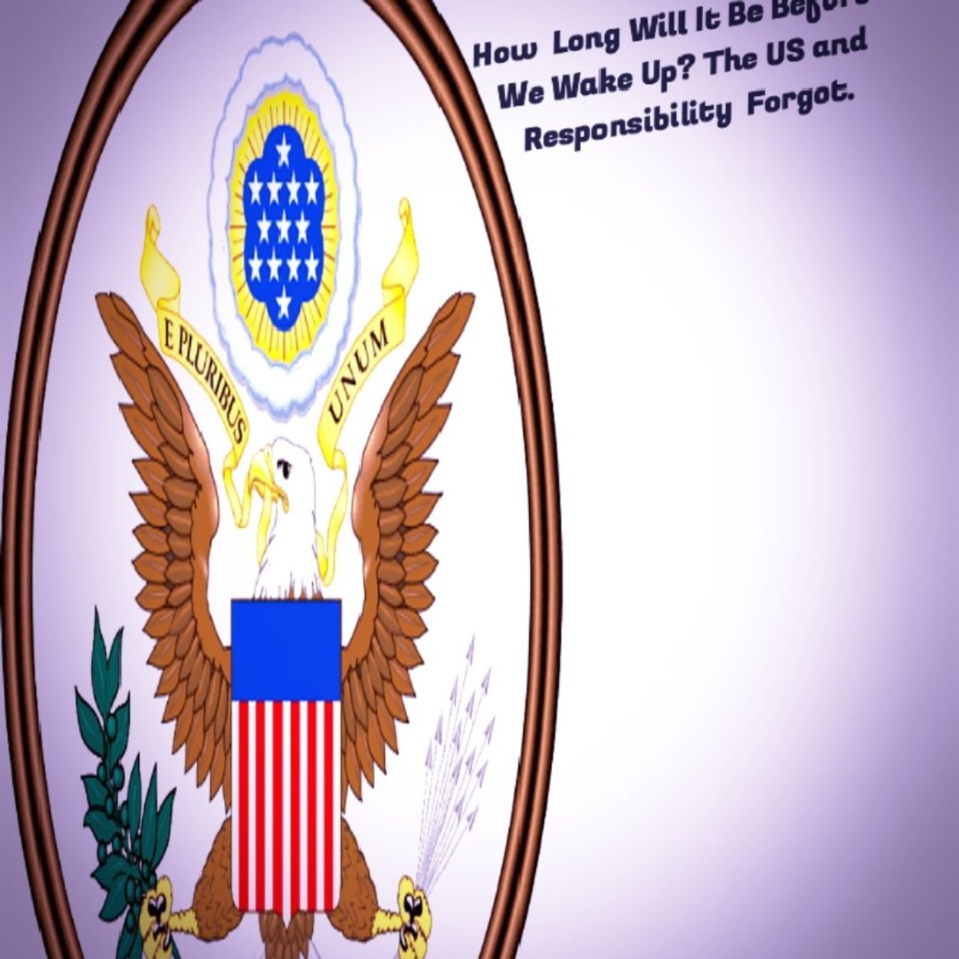 The United States Of No Rights. Episode 41 - Dark Skies News And information episode artwork
