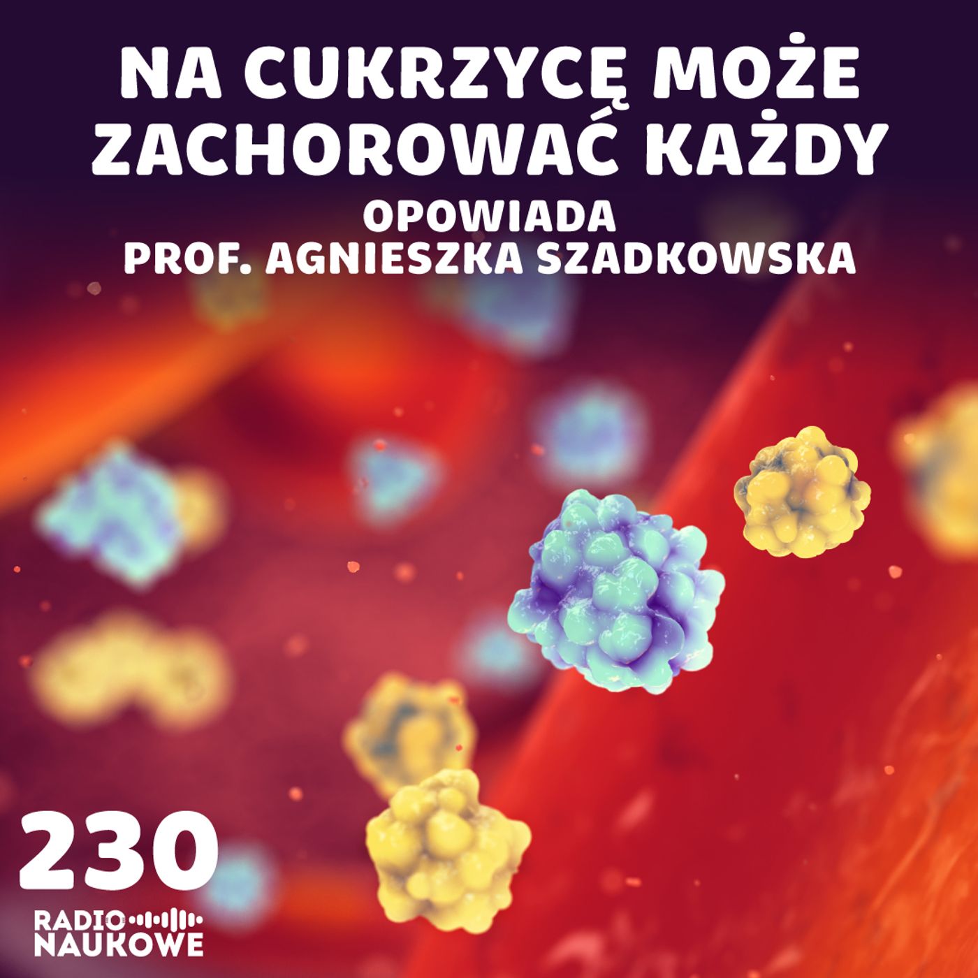 #230 Cukrzyca – niebezpieczna dla ciała, trudna dla psychiki | prof. Agnieszka Szadkowska