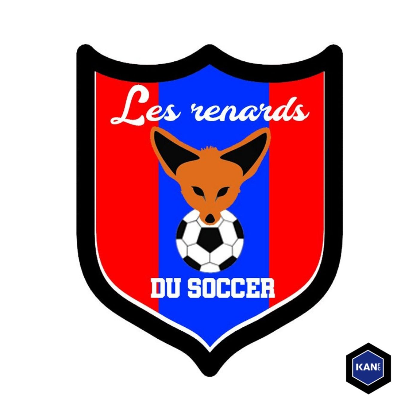 Renards Du Soccer