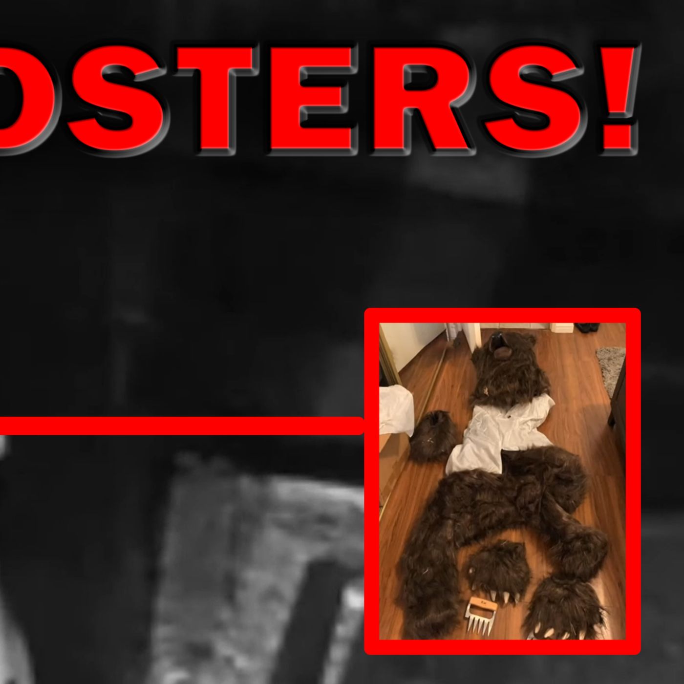 Insurance Fraudsters Use Bear Costume To Claim Money In Damages! LEO Round Table S09E231 episode artwork