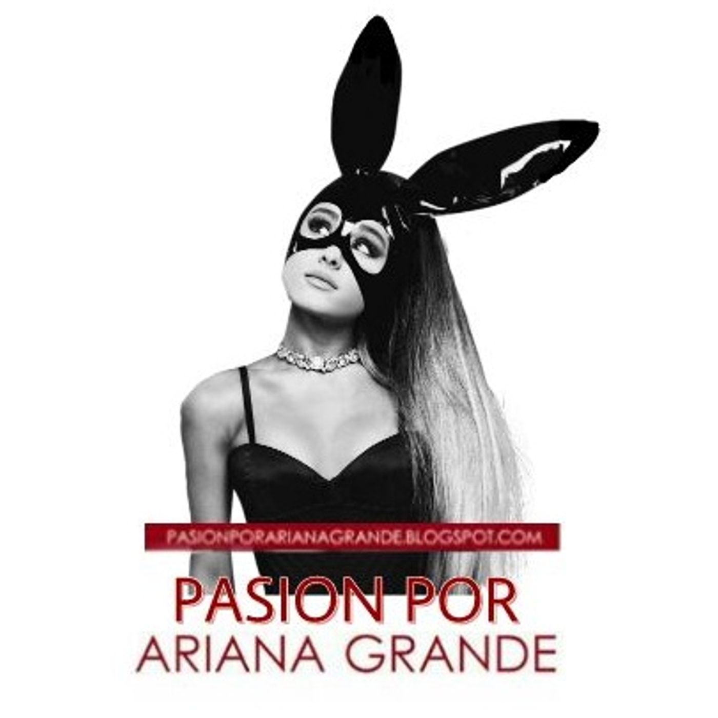Pasión Por Ariana Grande