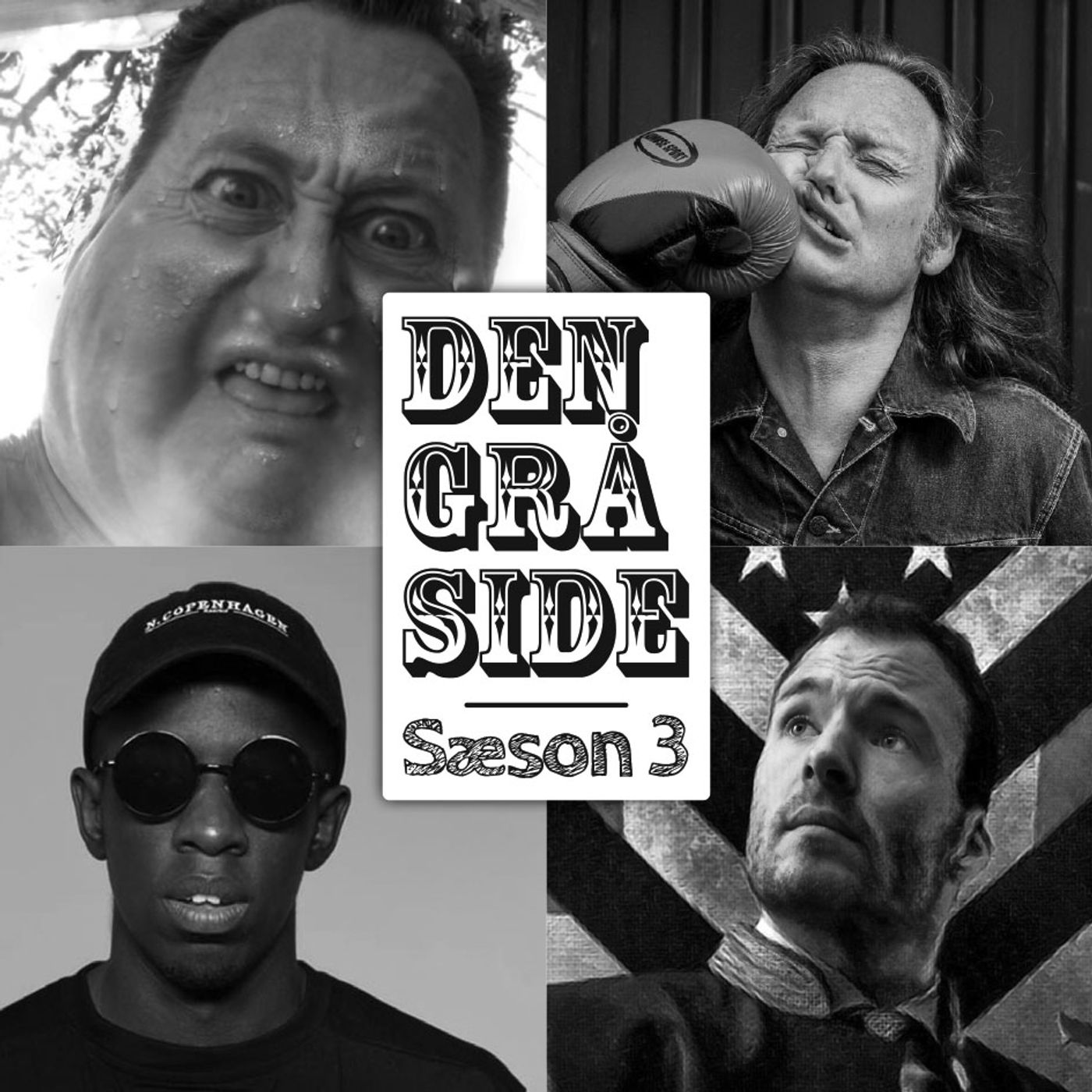 DEN GRÅ SIDE