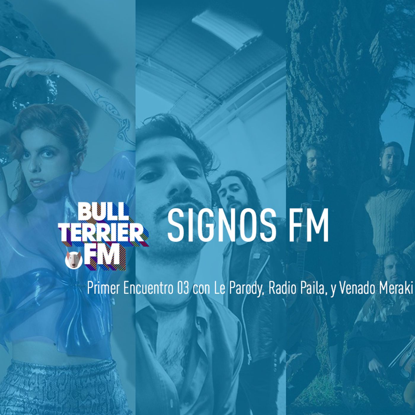 Archivo SignosFM