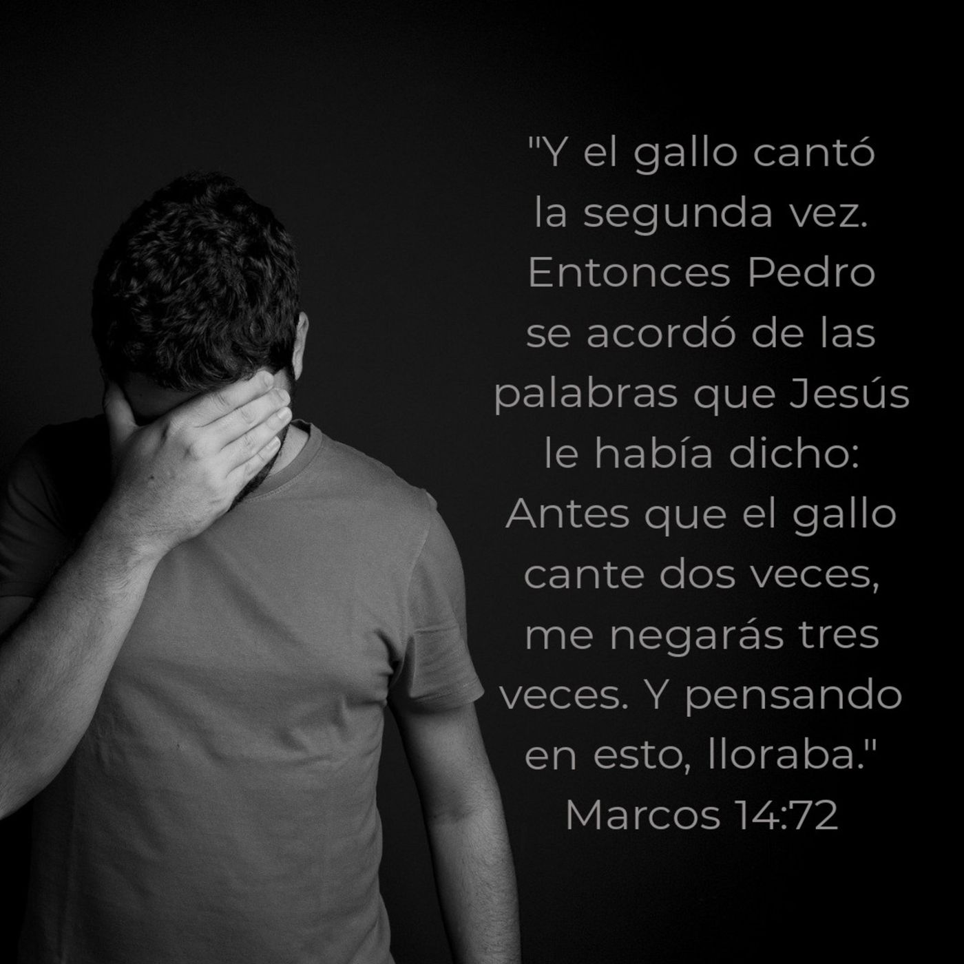 Ministerio UMCD - Un Momento Con Dios | Reflexiones Cristianas