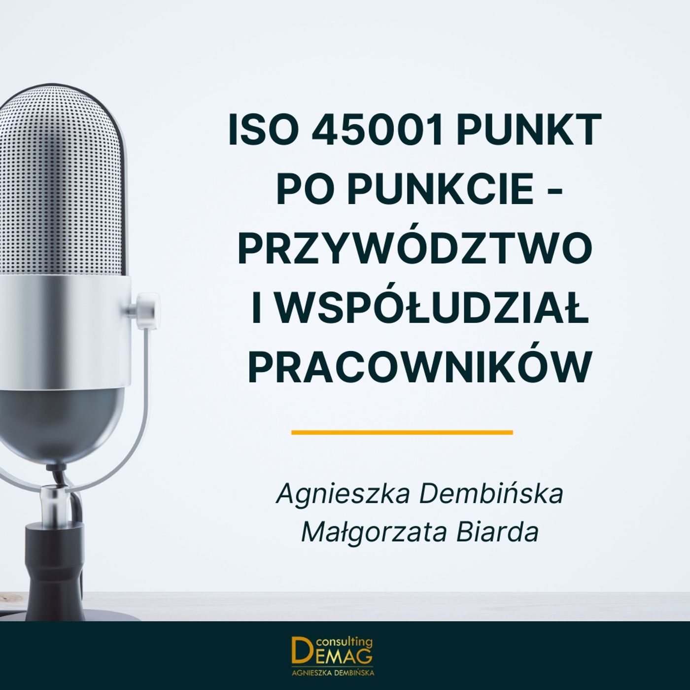 Demag - doradztwo techniczne