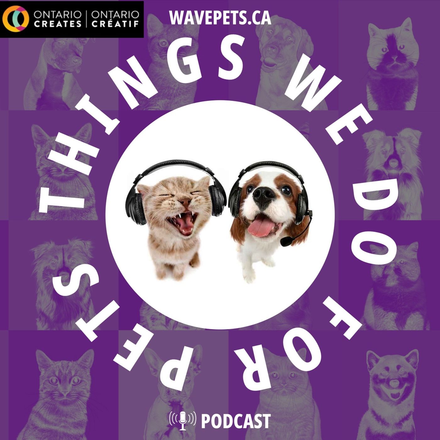 Things We Do For Pets