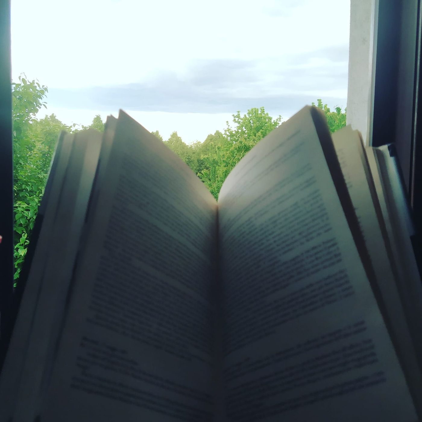 Emozioni tra gli scaffali cover art