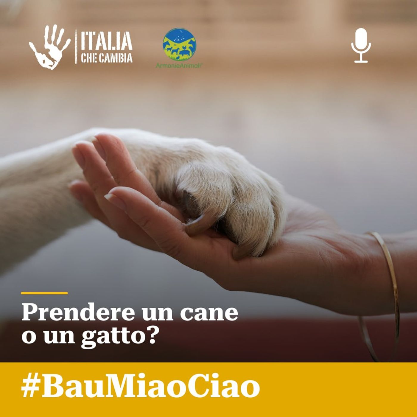 Cosa comporta prendere un cane o un gatto? episode artwork