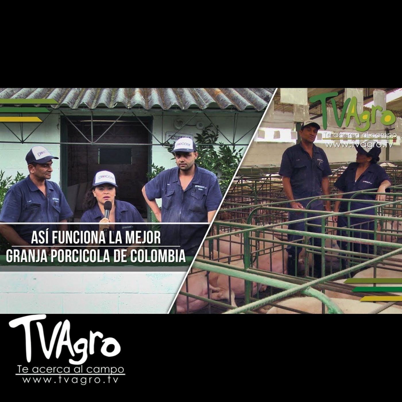 TV AGRO
