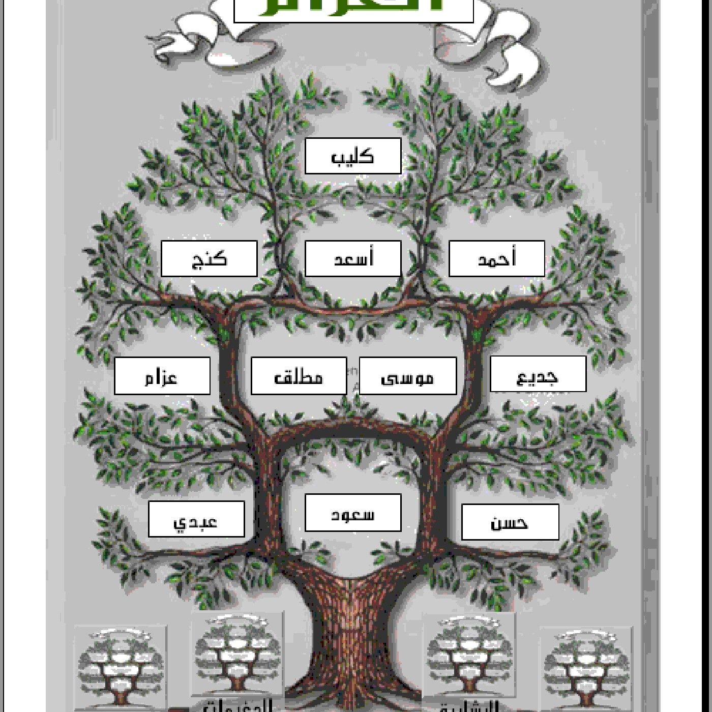 إذاعة عشائر العزام