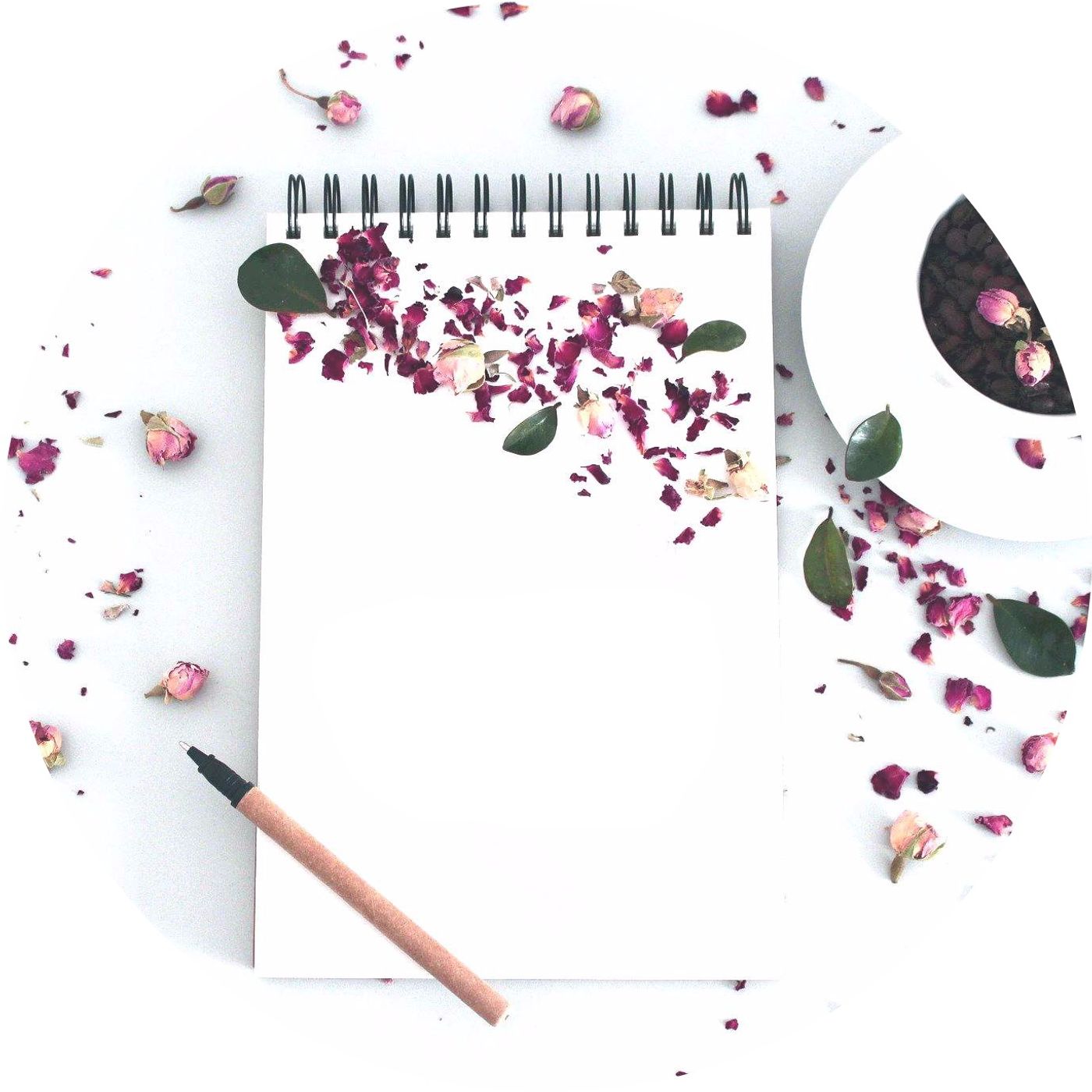 S2 Episode 6 - One Day you see the Dawn