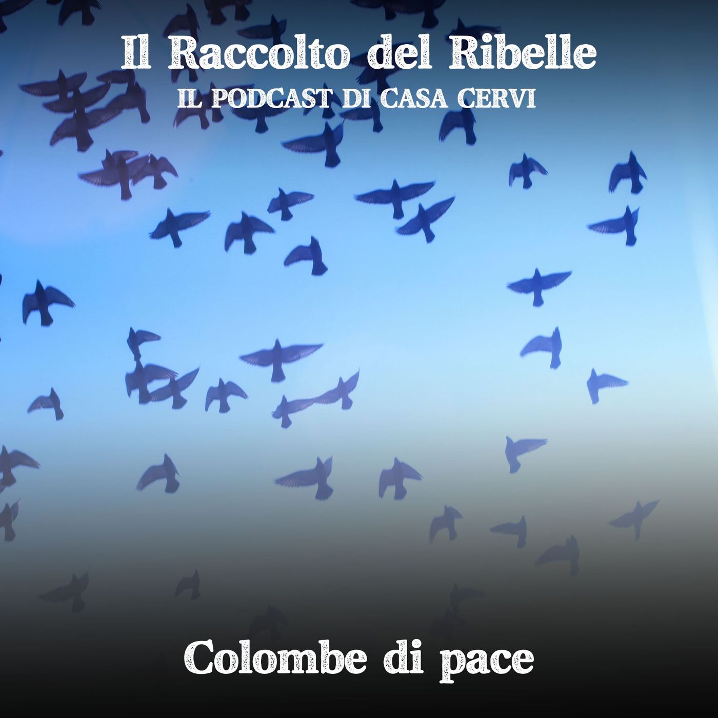 Il Raccolto del Ribelle