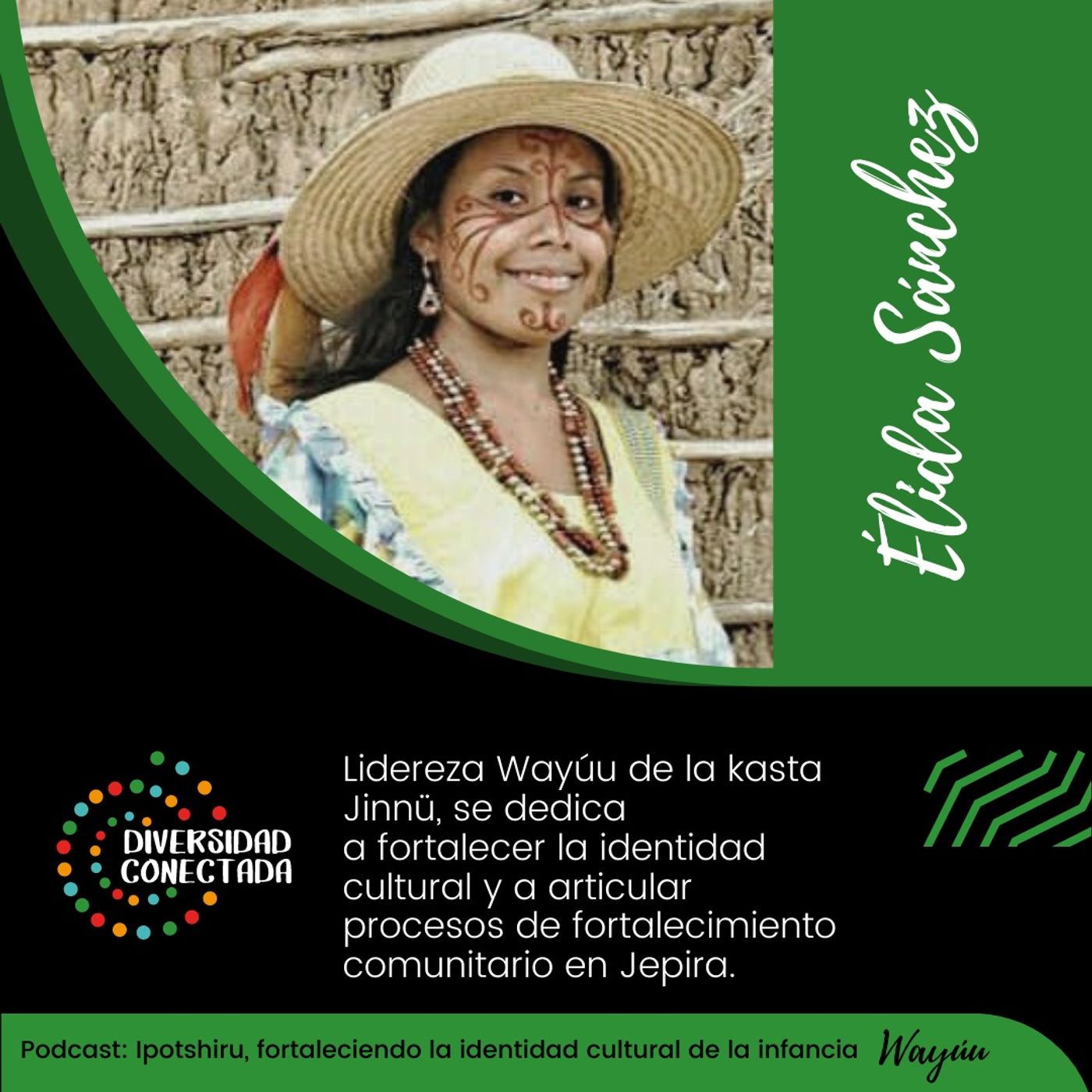 Diversidad Conectada