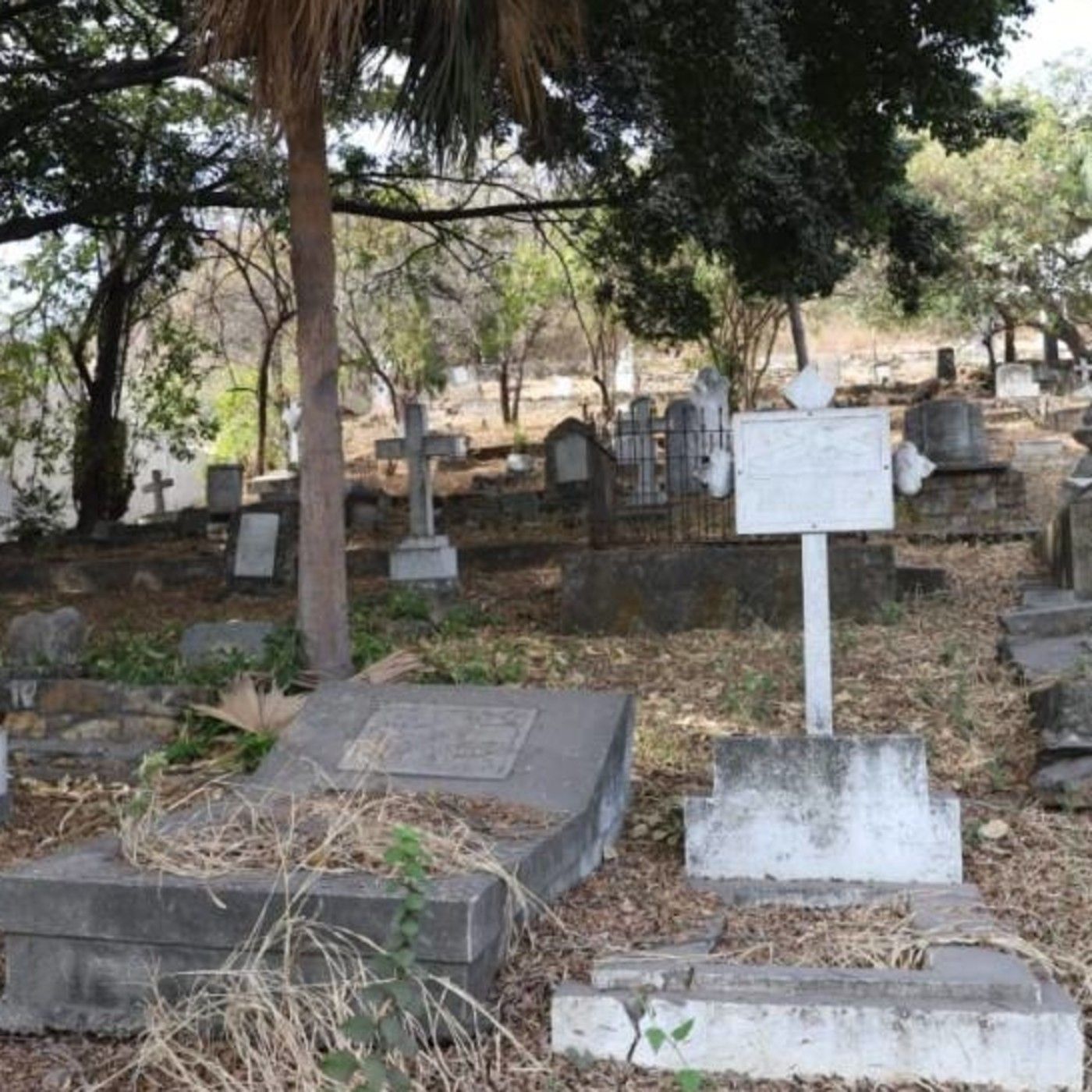 Historias de Miedo Enero 28 2021 QUE PASO EN EL CEMENTERIO