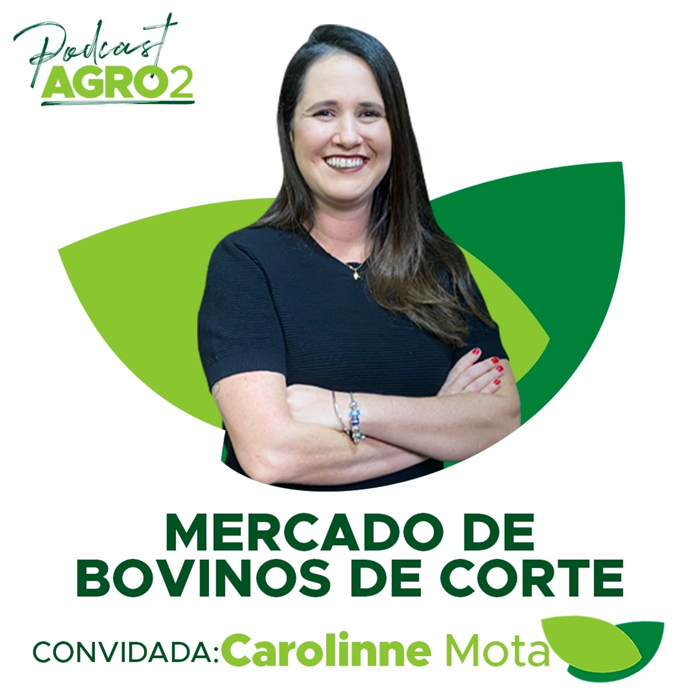 Como planejar a nutrição de bovinos de corte para gerir custos e maximizar lucros? #214 episode artwork