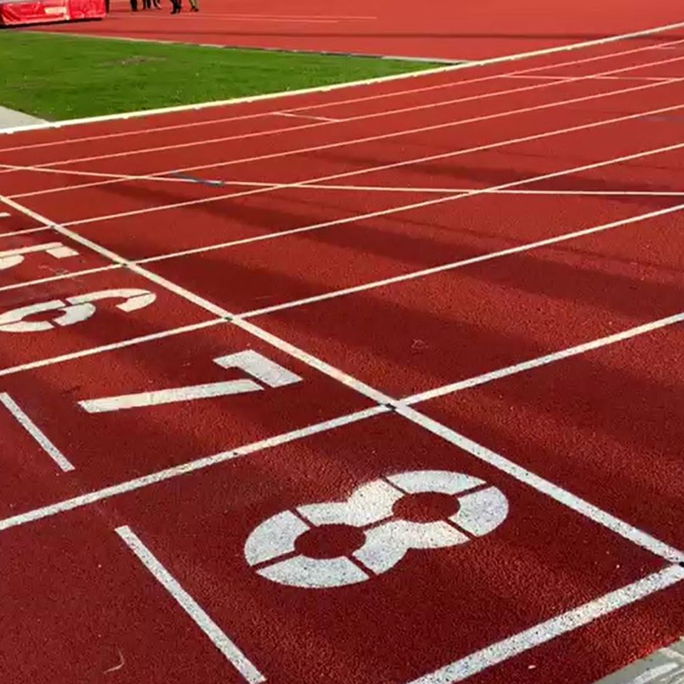 È FOCUS - GLI APPROFONDIMENTI DI È TG