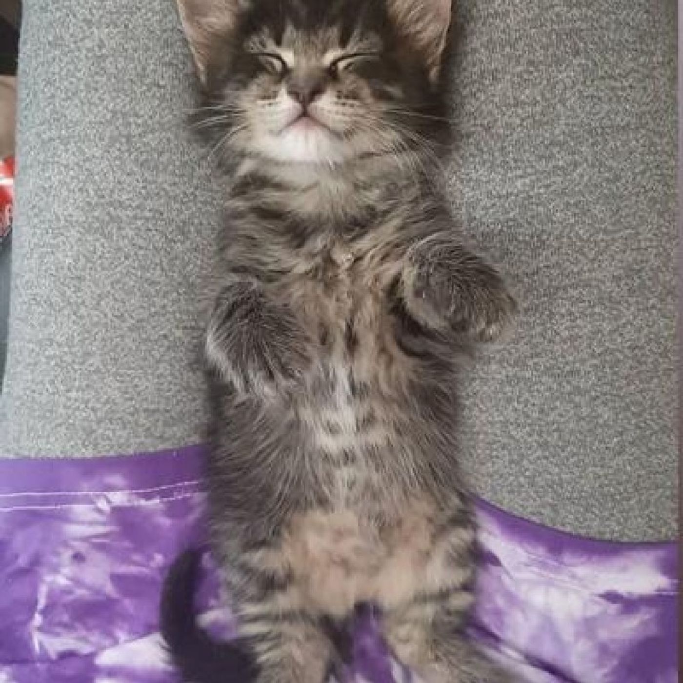 El podcast de Carmen FIGUEROA