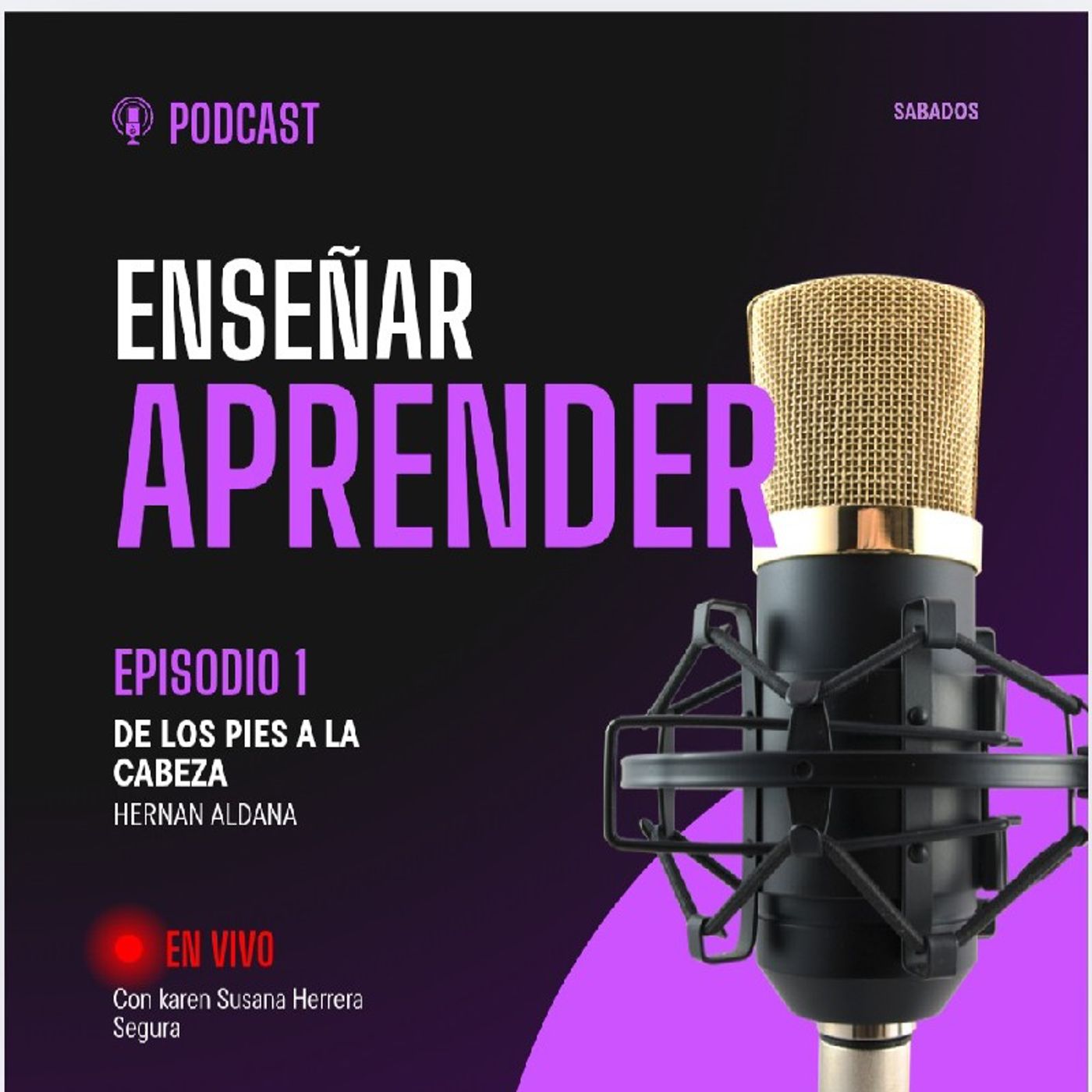 Mi primer episodio contando lo aprendido episode artwork