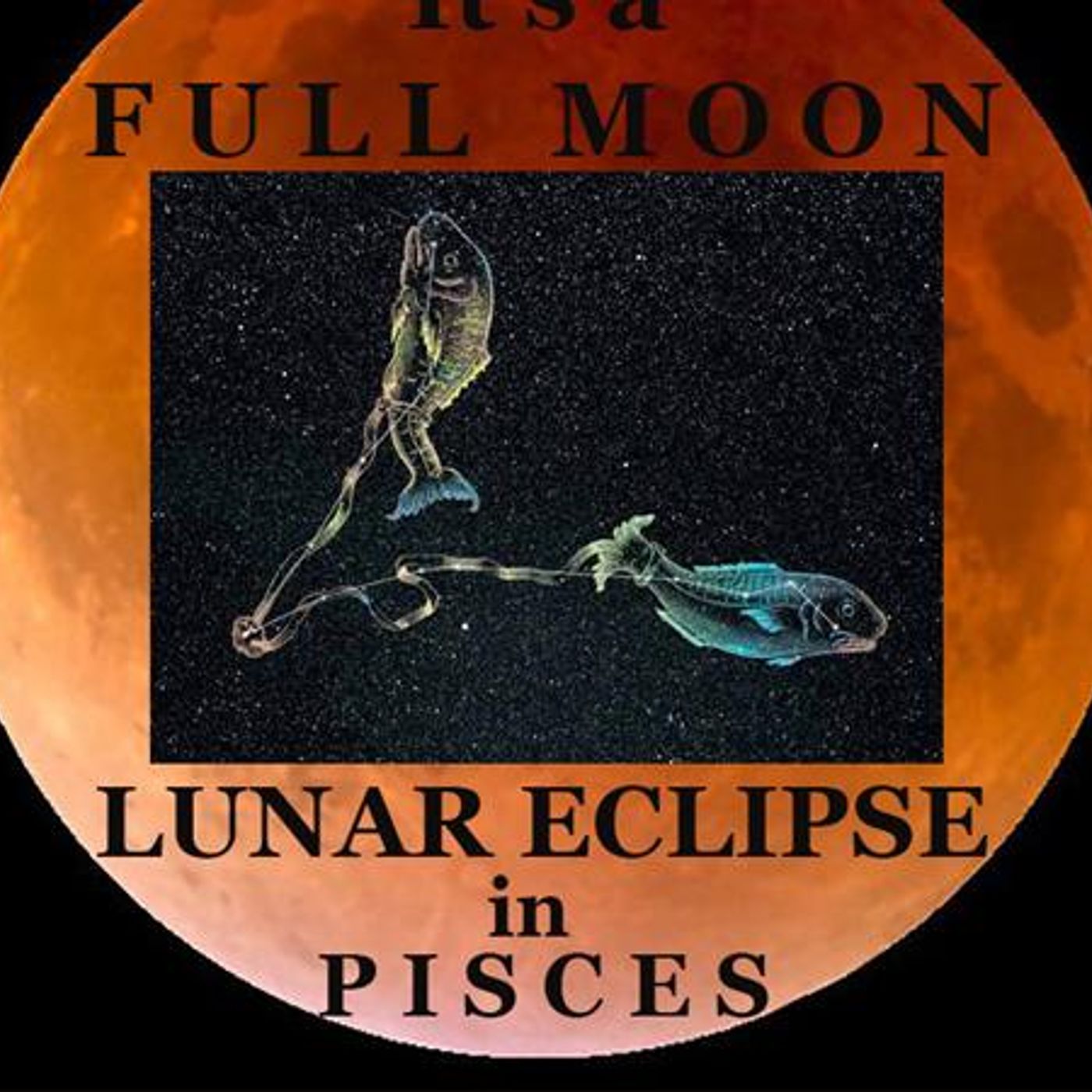 The Zoe Moon Astrology LUNAR ECLIPSE Show episode artwork